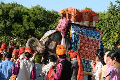 Vivuchi Wedding-11-22-23-2016-9715-DDeRosaPhoto
