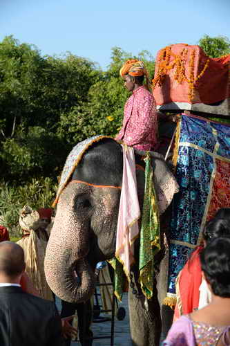 Vivuchi Wedding-11-22-23-2016-9728-DDeRosaPhoto