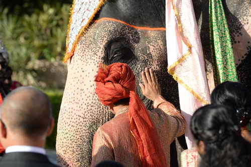 Vivuchi Wedding-11-22-23-2016-9738-DDeRosaPhoto