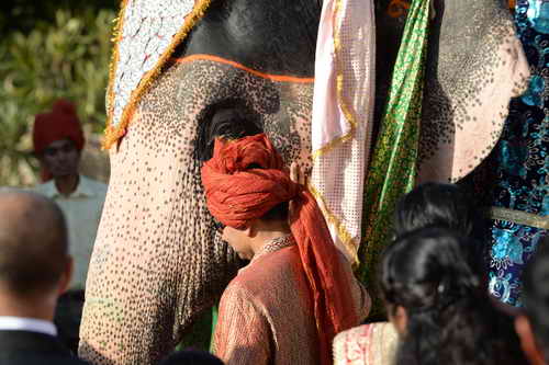 Vivuchi Wedding-11-22-23-2016-9739-DDeRosaPhoto