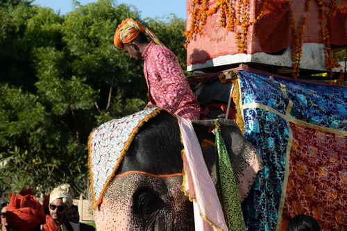Vivuchi Wedding-11-22-23-2016-9741-DDeRosaPhoto
