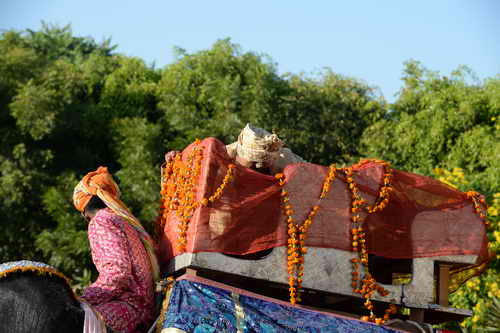 Vivuchi Wedding-11-22-23-2016-9742-DDeRosaPhoto
