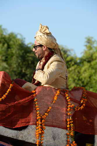 Vivuchi Wedding-11-22-23-2016-9748-DDeRosaPhoto