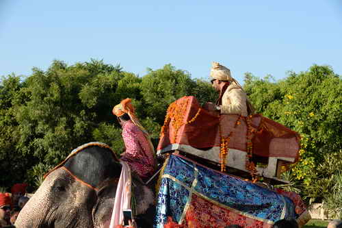 Vivuchi Wedding-11-22-23-2016-9749-DDeRosaPhoto