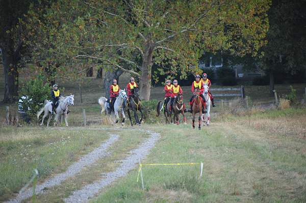 WEG1-9-26-10-Endurance-DSC_3495-DDeRosaPhoto.jpg
