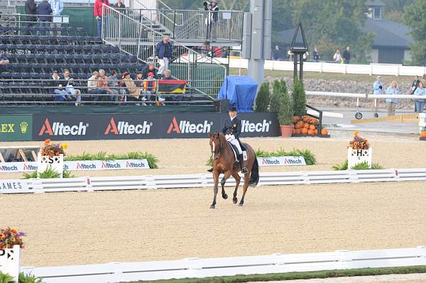 WEG1-9-28-10-DressageGP-5445-DDeRosaPhoto.jpg