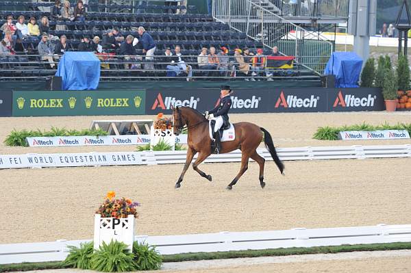 WEG1-9-28-10-DressageGP-5456-DDeRosaPhoto.jpg
