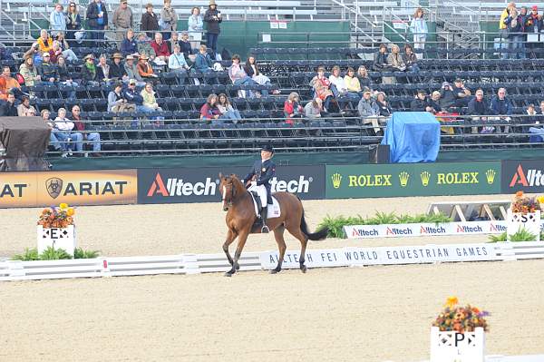 WEG1-9-28-10-DressageGP-5467-DDeRosaPhoto.jpg