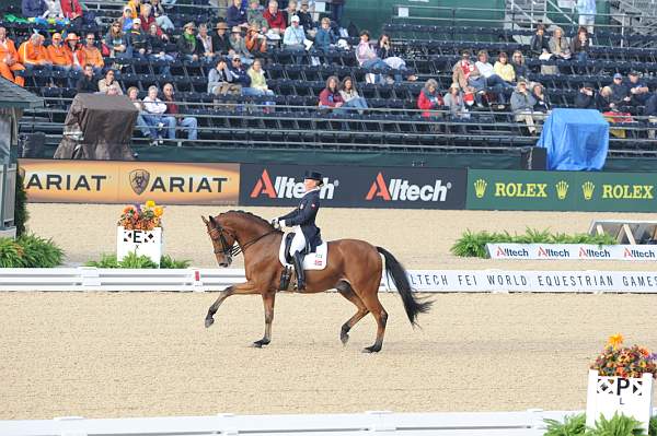 WEG1-9-28-10-DressageGP-5487-DDeRosaPhoto.jpg