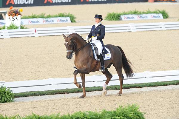 WEG1-9-28-10-DressageGP-5502-DDeRosaPhoto.jpg