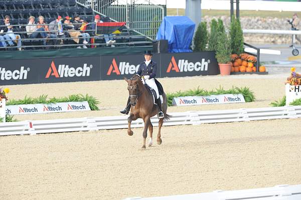 WEG1-9-28-10-DressageGP-5509-DDeRosaPhoto.jpg