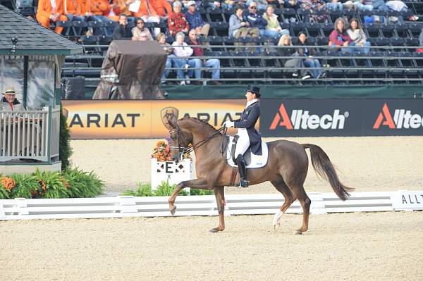 WEG1-9-28-10-DressageGP-5517-DDeRosaPhoto.jpg