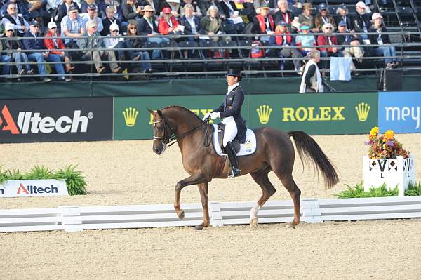 WEG1-9-28-10-DressageGP-5518-DDeRosaPhoto.jpg