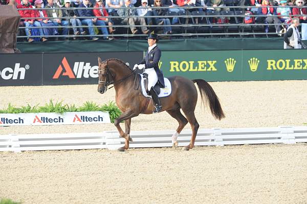 WEG1-9-28-10-DressageGP-5520-DDeRosaPhoto.jpg