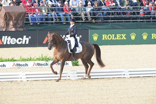 WEG1-9-28-10-DressageGP-5521-DDeRosaPhoto.jpg