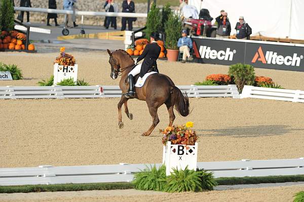 WEG1-9-28-10-DressageGP-5523-DDeRosaPhoto.jpg