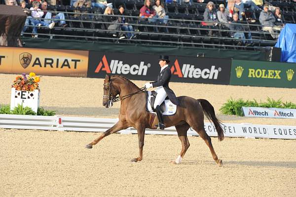 WEG1-9-28-10-DressageGP-5528-DDeRosaPhoto.jpg