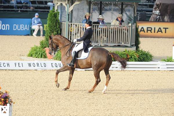 WEG1-9-28-10-DressageGP-5535-DDeRosaPhoto.jpg