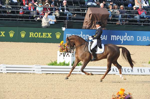 WEG1-9-28-10-DressageGP-5544-DDeRosaPhoto.jpg