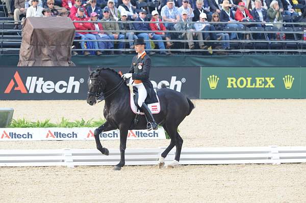 WEG1-9-28-10-DressageGP-5567-DDeRosaPhoto.jpg