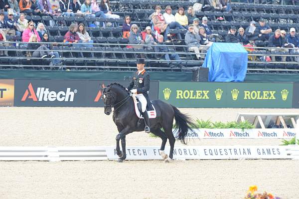 WEG1-9-28-10-DressageGP-5574-DDeRosaPhoto.jpg