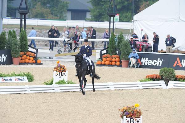 WEG1-9-28-10-DressageGP-5601-DDeRosaPhoto.jpg