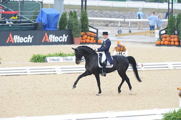 WEG1-9-28-10-DressageGP-5613-DDeRosaPhoto.jpg