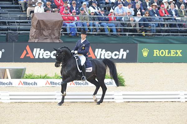 WEG1-9-28-10-DressageGP-5624-DDeRosaPhoto.jpg
