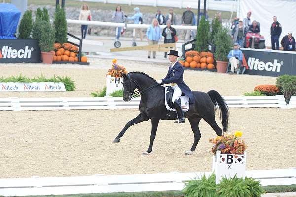 WEG1-9-28-10-DressageGP-5632-DDeRosaPhoto.jpg