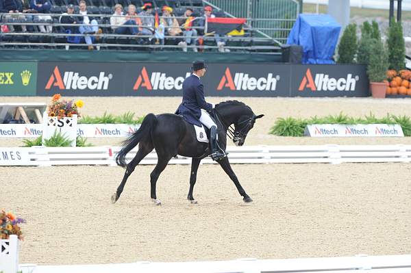 WEG1-9-28-10-DressageGP-5636-DDeRosaPhoto.jpg