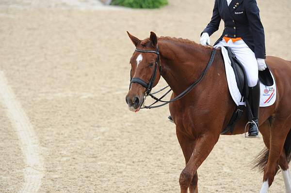 WEG1-9-28-10-DressageGP-5674-DDeRosaPhoto.jpg