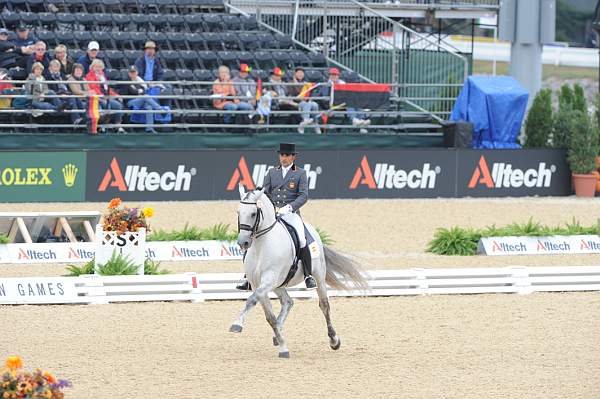 WEG1-9-28-10-DressageGP-5688-DDeRosaPhoto.jpg