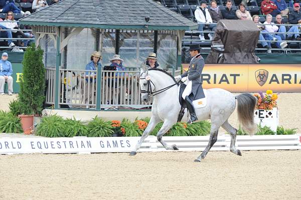 WEG1-9-28-10-DressageGP-5701-DDeRosaPhoto.jpg