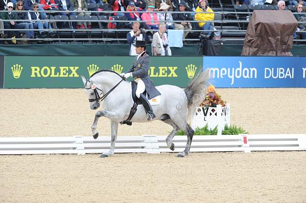 WEG1-9-28-10-DressageGP-5706-DDeRosaPhoto.jpg