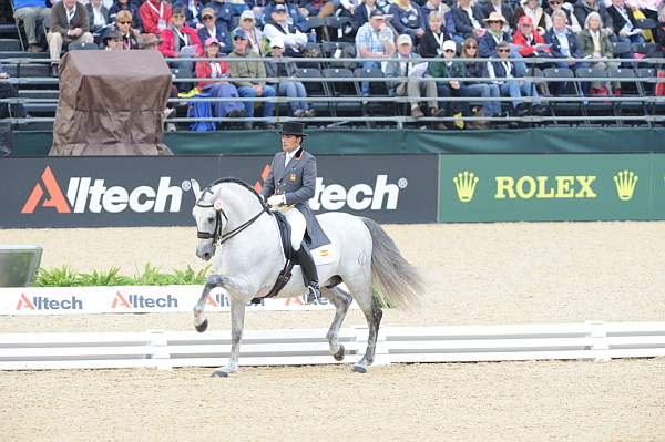 WEG1-9-28-10-DressageGP-5710-DDeRosaPhoto.jpg