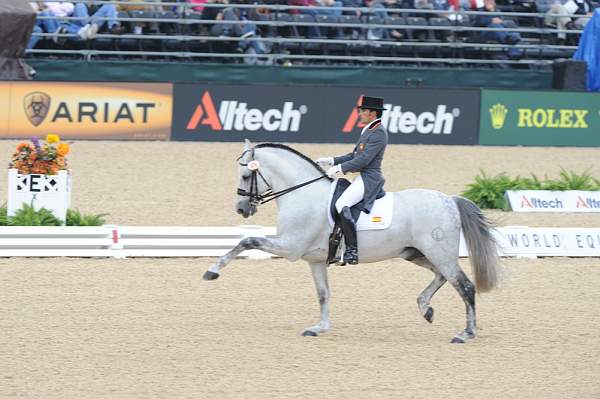 WEG1-9-28-10-DressageGP-5738-DDeRosaPhoto.jpg