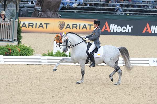 WEG1-9-28-10-DressageGP-5739-DDeRosaPhoto.jpg