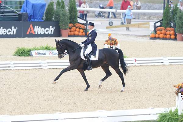 WEG1-9-28-10-DressageGP-5776-DDeRosaPhoto.jpg