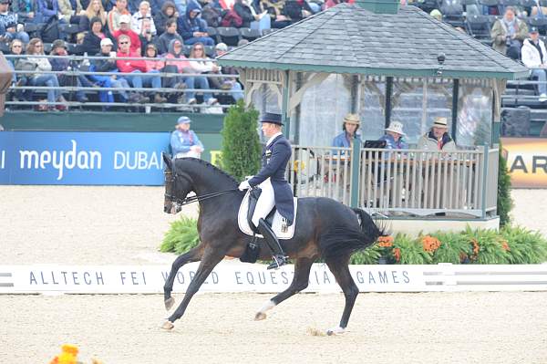WEG1-9-28-10-DressageGP-5796-DDeRosaPhoto.jpg