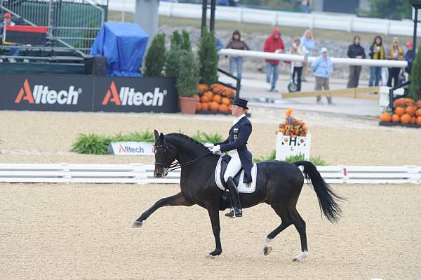 WEG1-9-28-10-DressageGP-5810-DDeRosaPhoto.jpg