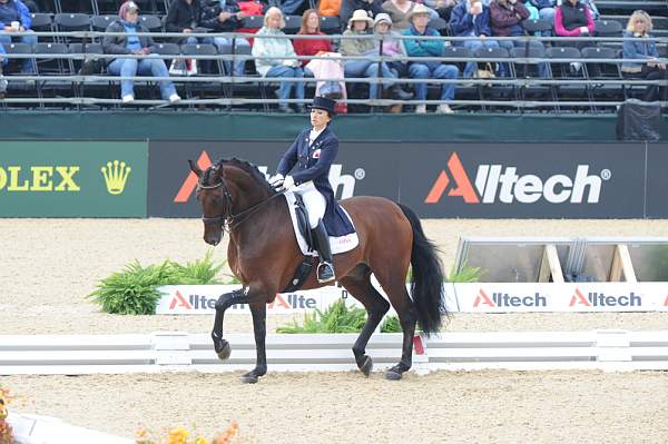 WEG1-9-28-10-DressageGP-5865-DDeRosaPhoto.jpg