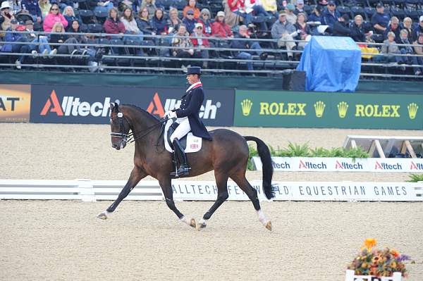 WEG1-9-28-10-DressageGP-5882-DDeRosaPhoto.jpg