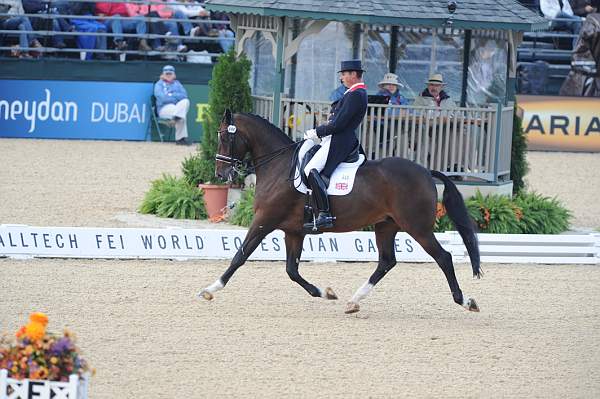 WEG1-9-28-10-DressageGP-5902-DDeRosaPhoto.jpg
