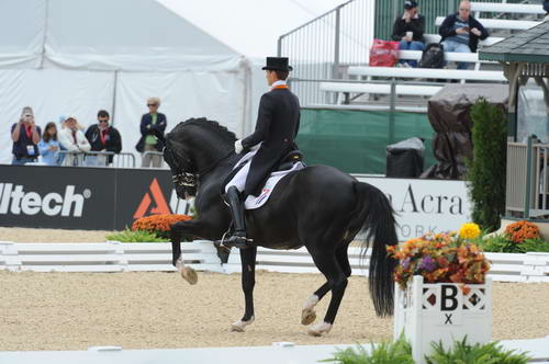 WEG1-9-28-10-DressageGP-6526-EdwardGal-MoorlandsTotilas-DDeRosaPhoto.jpg