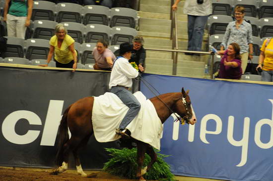 WEG2-9-30-10-RNG Finals-1199-TomMcCutcheon GunnersSpecialNite-DDeRosaPhoto