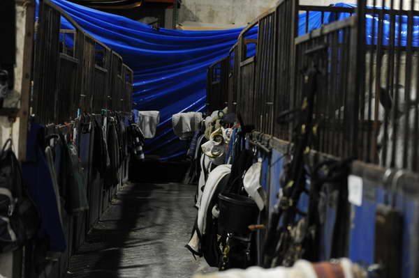 WIHS1-10-26-10- 7367-DDeRosaPhoto.JPG