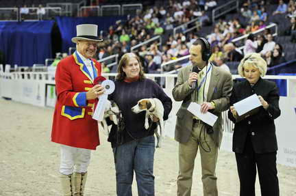 WIHS2-10-28-10-4644-DDeRosaPhoto.JPG
