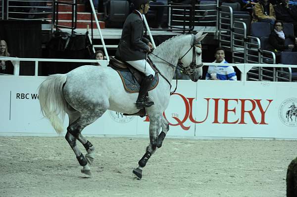 WIHS2-10-29-10-Puissance-6642-G-CBlanchee-PabloBarrios-DDeRosaPhoto.jpg