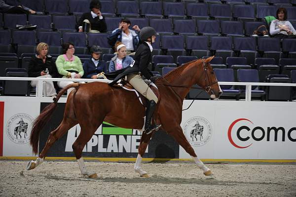 WIHS2-10-27-10-Cl24-1stYrGrHtrStke-0226-RedSky-MaggieJayne-DDeRosaPhoto.jpg