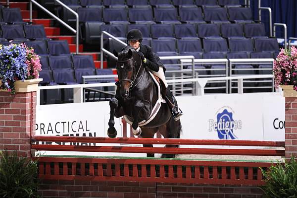 WIHS2-10-27-10-Cl24-1stYrGrHtrStke-0252-SanRemo-AmandaSteege-DDeRosaPhoto.jpg
